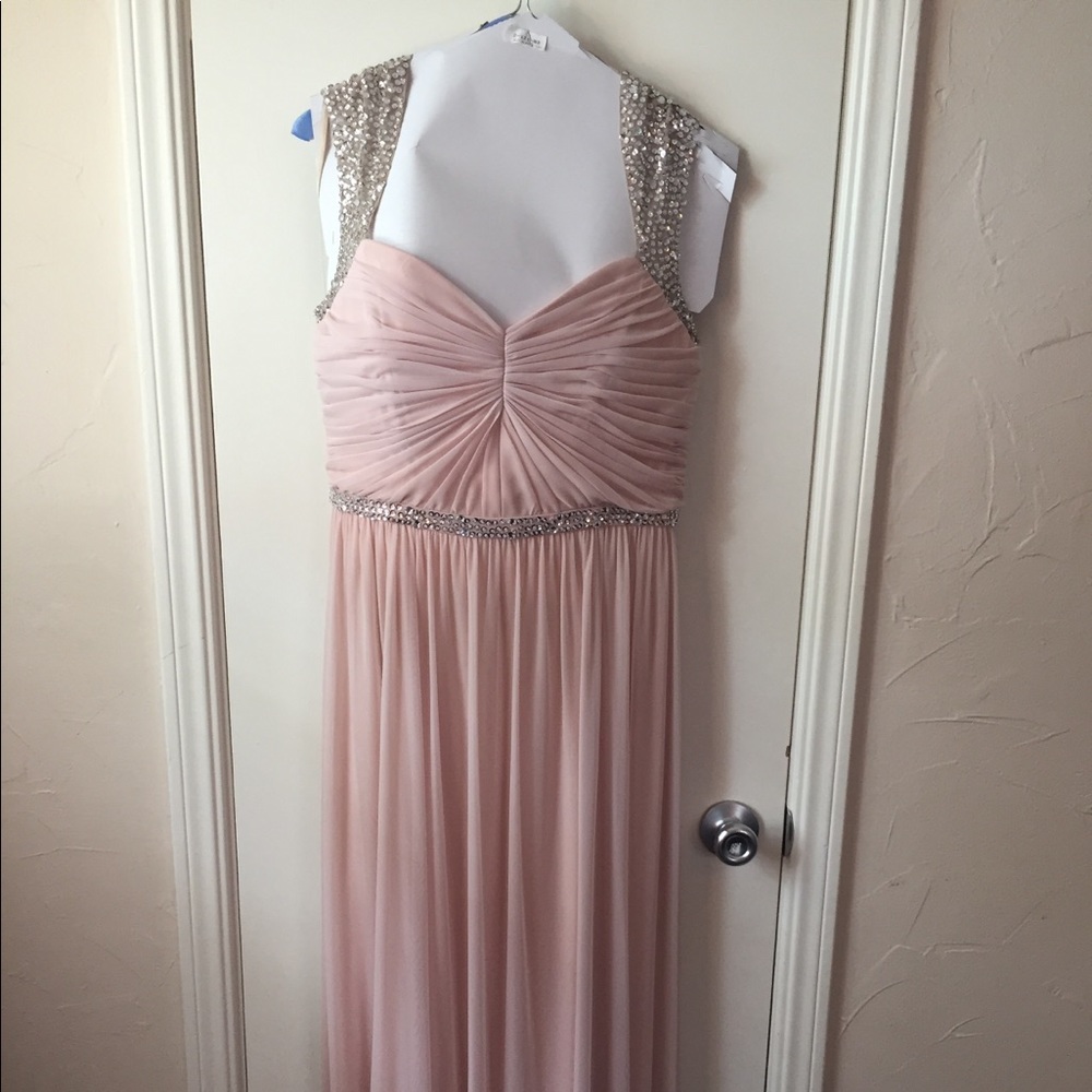 Adrianna Papell Long blush gown